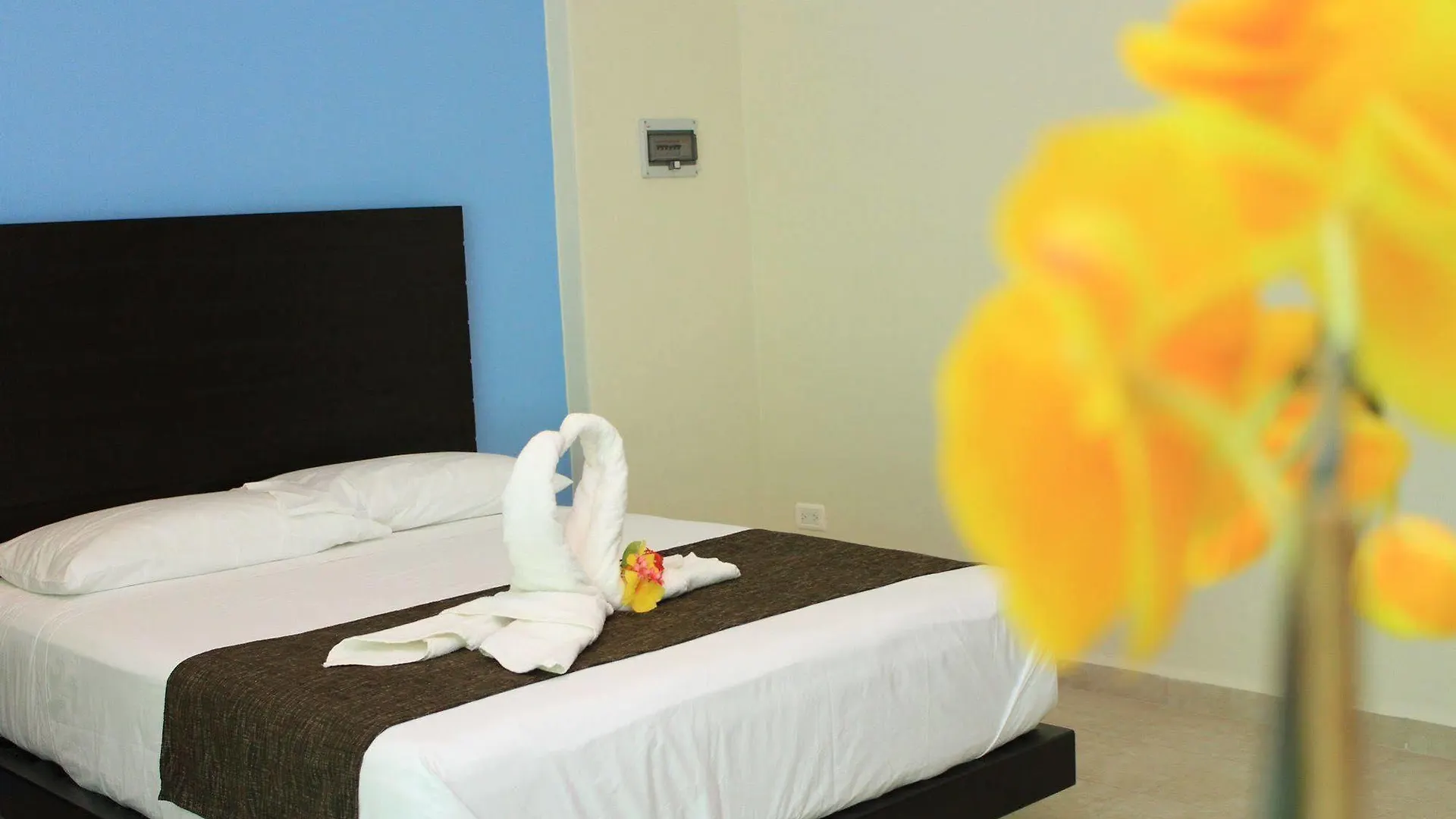 Angelo'S Hotel Playa del Carmen 3*,