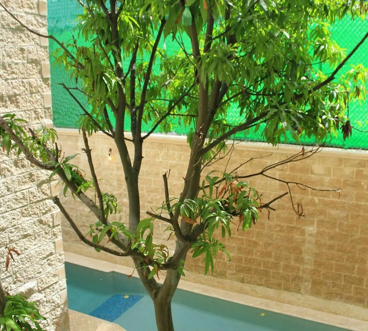 Angelo'S Hotel Playa del Carmen